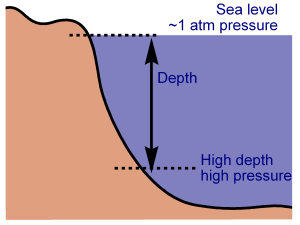 sc-5 sb-4-Pressure in Liquidsimg_no 2.jpg